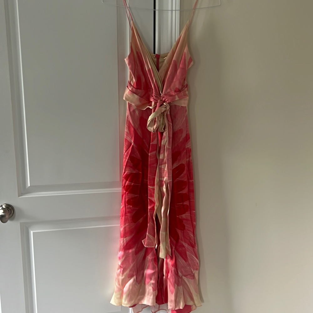 Alexie dress worn 1x